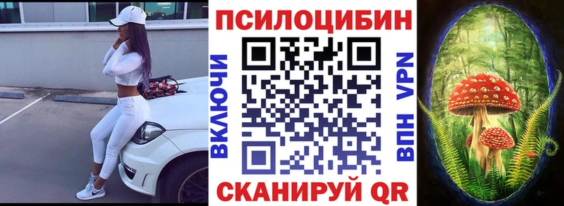 где продают   Уварово  Псилоцибиновые грибы Psilocybe 